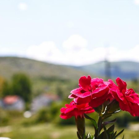 Apartmani S.KILAĆI Blagaj Bagian luar foto