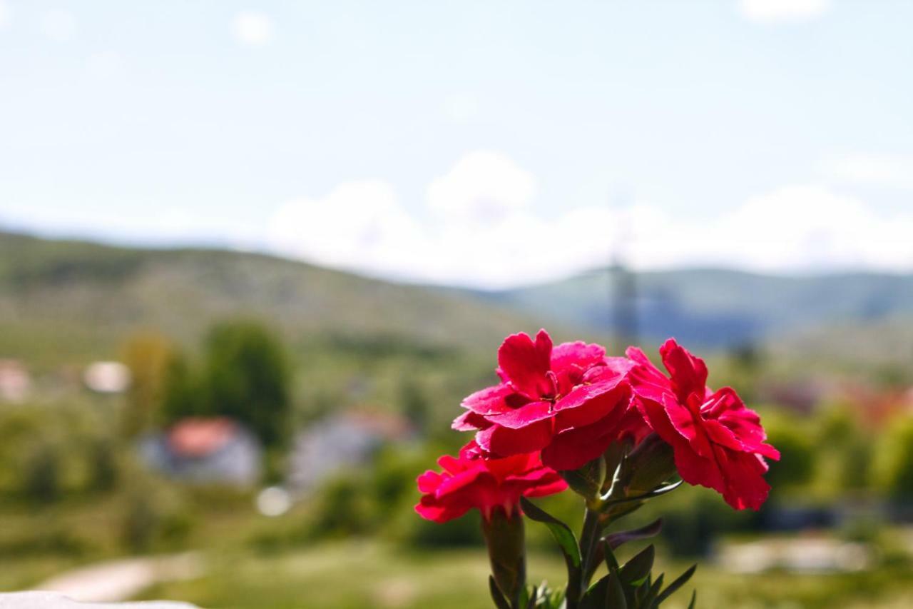 Apartmani S.KILAĆI Blagaj Bagian luar foto